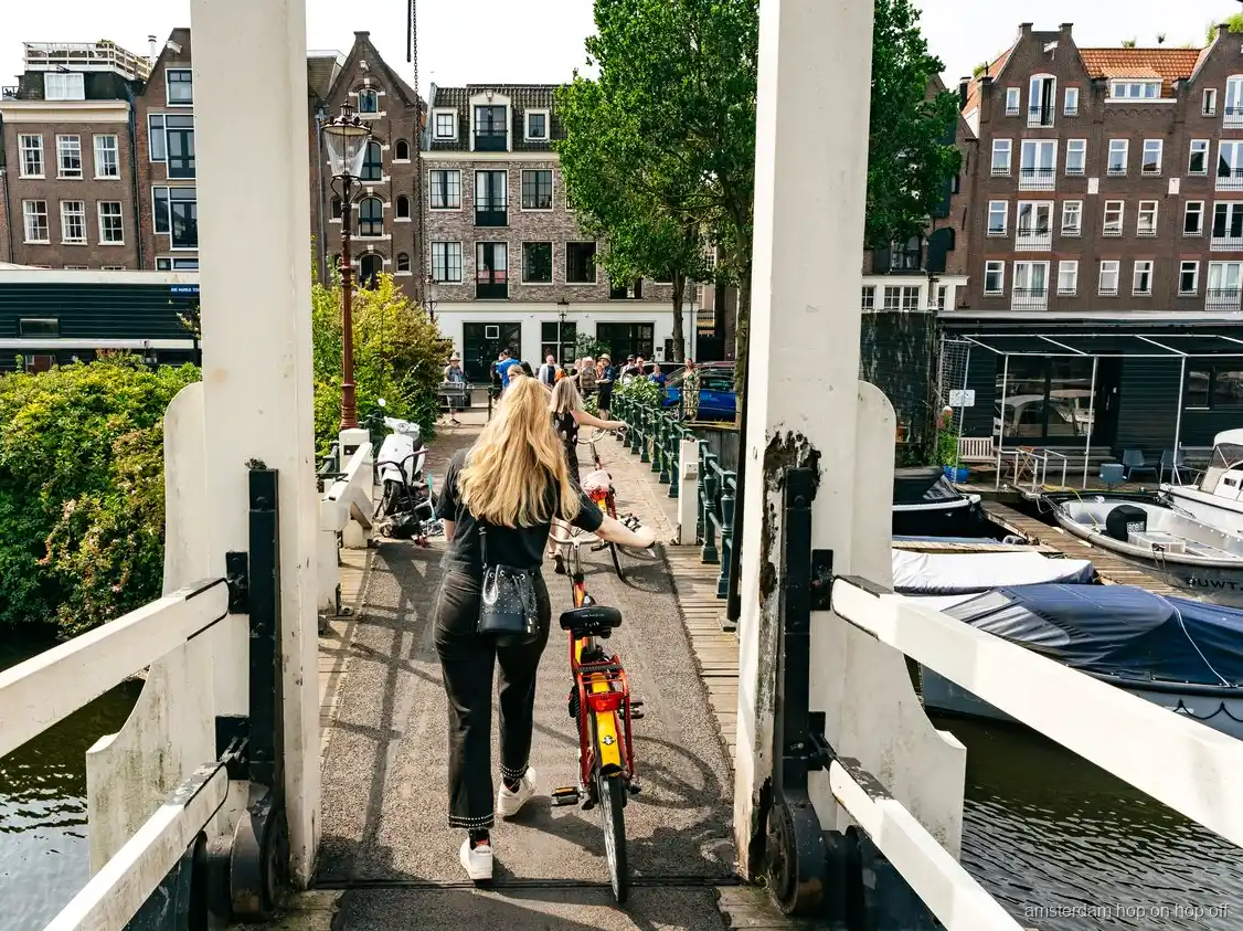 Grupo guiado en bici recorriendo el anillo de canales de Amsterdam